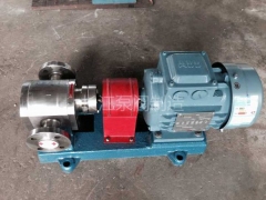 F係列全不鏽鋼防腐食品級齒輪泵報價 (3)