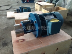 CB齿轮泵供应（yīng） (1)