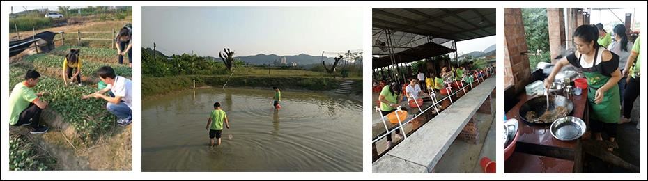 麻豆短视频传媒网站