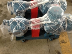 BW保（bǎo）溫瀝（lì）青齒輪泵報價 (2)