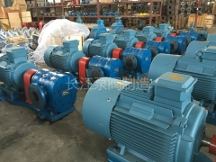 BW保溫瀝青齒輪泵價格（gé） (11)