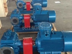 BW型保溫瀝青齒輪泵 (7)