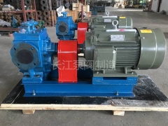 BW保溫瀝青齒輪泵型號 (5)