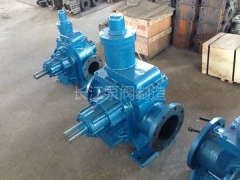 KCB齒輪泵工（gōng）廠 (11)