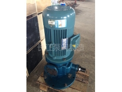 LYB型立式圓弧齒輪泵（bèng）廠家 (2)