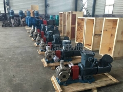 YCB圓弧齒輪泵圖片(14)