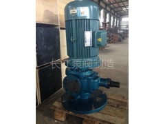 YCB圓弧齒（chǐ）輪（lún）泵樣本 (2)