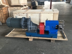 RP轉子泵供（gòng）應 (1)