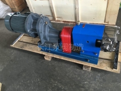 RP轉（zhuǎn）子（zǐ）泵廠家 (2)