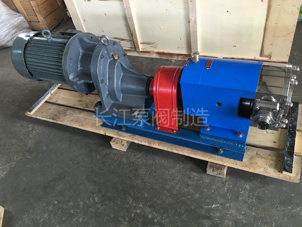 河北某（mǒu）食品廠食品計量用泵RP轉子泵