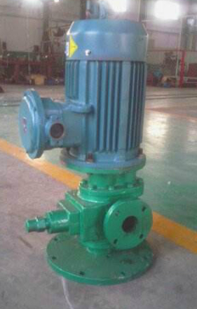 一台LYB式立式齒輪油（yóu）泵