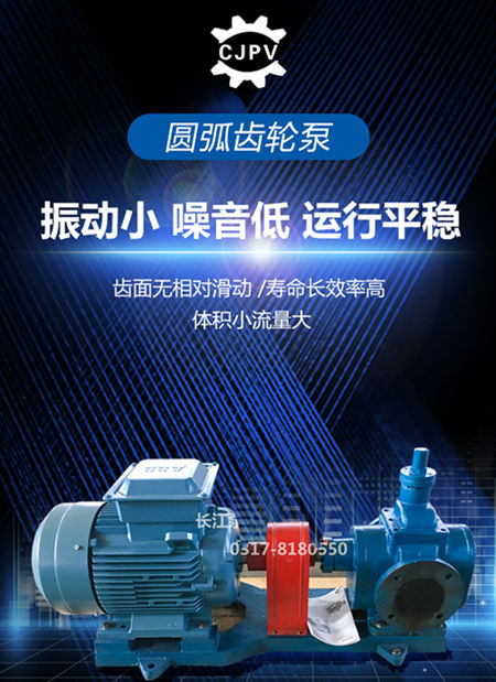 圓弧齒輪泵的特（tè）點介紹